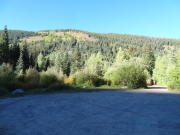 changing_aspens