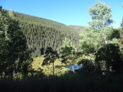 fulford_pond