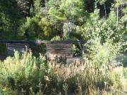 old_cabin