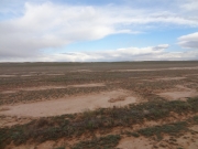 belleview_flats