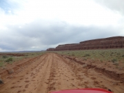 cow_tracks