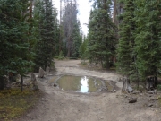 big_puddle