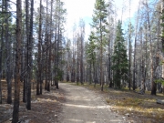easy_trail