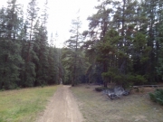 meadow