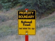 national_forest_sign