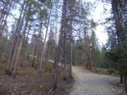 uphill