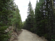 mixture_of_trees