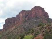 early_bluff