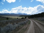 meadow