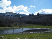 pond_with_a_view