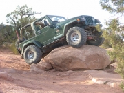 bob_s_on_a_rock