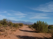 early_trail