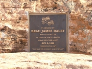 plaque
