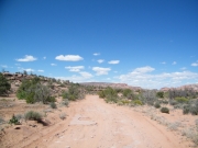 mellow_trail