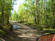 through_aspens
