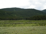 marsh
