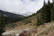 snowy_ahead