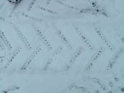 cool_tread