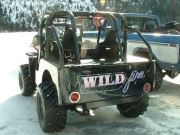 wild_fire