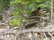 old_cabin