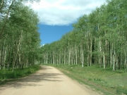 start_of_the_trail