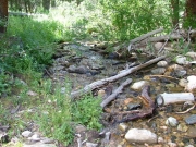 stream