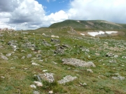 tundra