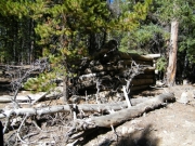 cabin