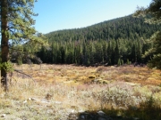fall_colors