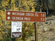 forest_service_sign