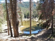 marsh