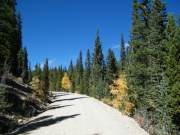 mellow_trail