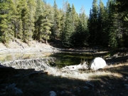 pond