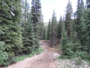 creek_crossing