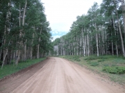 easy_trail