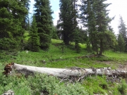log