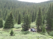 matt_in_trees