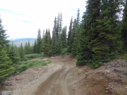 switchback