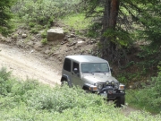 walt_downhill