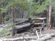 cabin_remains