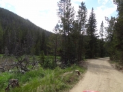 dirt_road