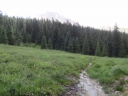muddy