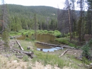 pond
