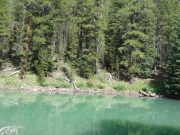 weird_pond