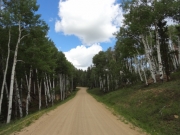 aspens_part_1