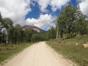 aspens_part_2