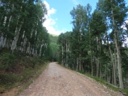 aspens_part_3