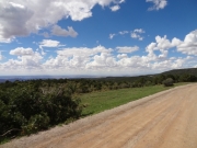 view_on_the_way_down