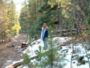 already_snow