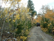 dave_in_the_aspens_part_1